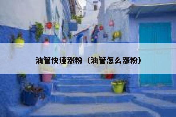 油管快速涨粉（油管怎么涨粉） 第1张