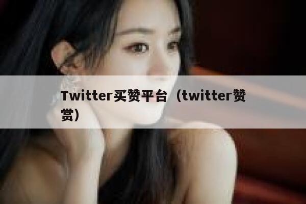 Twitter买赞平台（twitter赞赏） 第1张