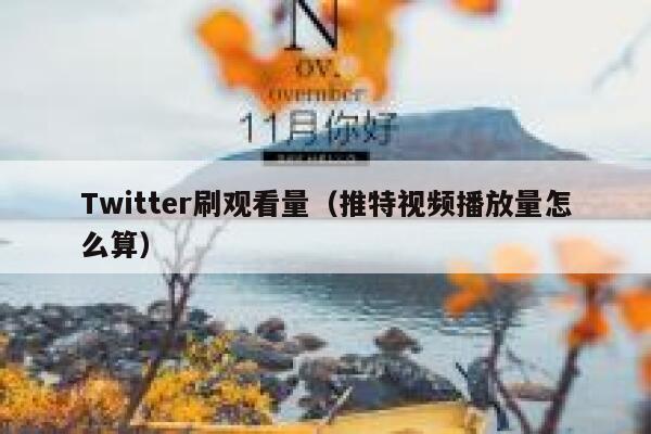 Twitter刷观看量(推特视频播放量怎么算) 第1张 Twitter刷观看量(推特视频播放量怎么算) 第1张