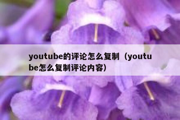 youtube的评论怎么复制（youtube怎么复制评论内容） 第1张