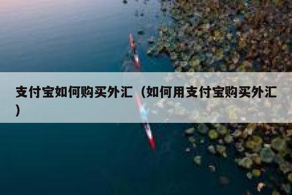 支付宝如何购买外汇（如何用支付宝购买外汇） 第1张