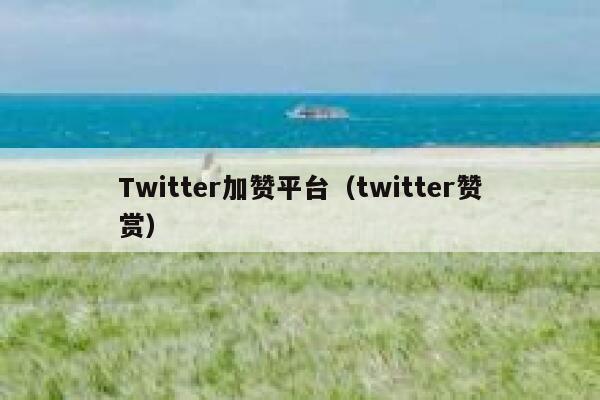 Twitter加赞平台（twitter赞赏） 第1张