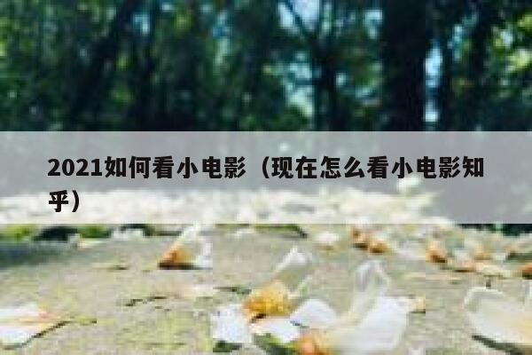 2021如何看小电影(现在怎么看小电影知乎) 第1张 2021如何看小电影(现在怎么看小电影知乎) 第1张
