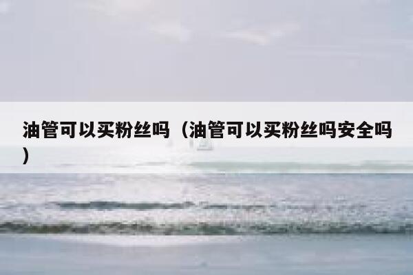 油管可以买粉丝吗（油管可以买粉丝吗安全吗） 第1张
