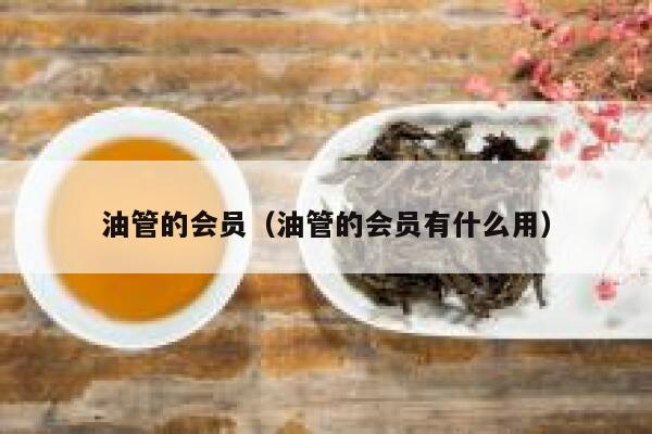油管的会员(油管的会员有什么用) 第1张 油管的会员(油管的会员有什么用) 第1张