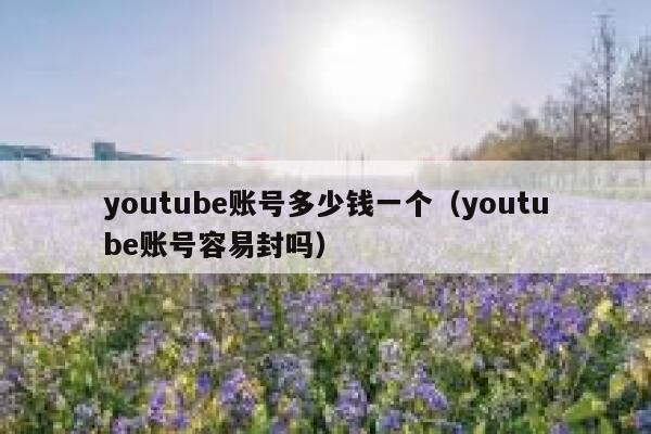youtube账号多少钱一个（youtube账号容易封吗） 第1张