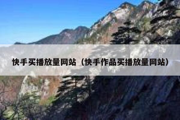 快手买播放量网站（快手作品买播放量网站） 第1张