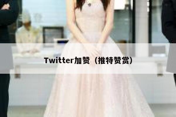 Twitter加赞（推特赞赏） 第1张