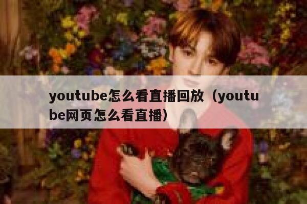 youtube怎么看直播回放（youtube网页怎么看直播） 第1张