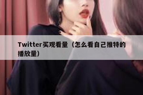 Twitter买观看量（怎么看自己推特的播放量） 第1张