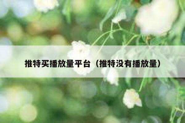 推特买播放量平台（推特没有播放量） 第1张