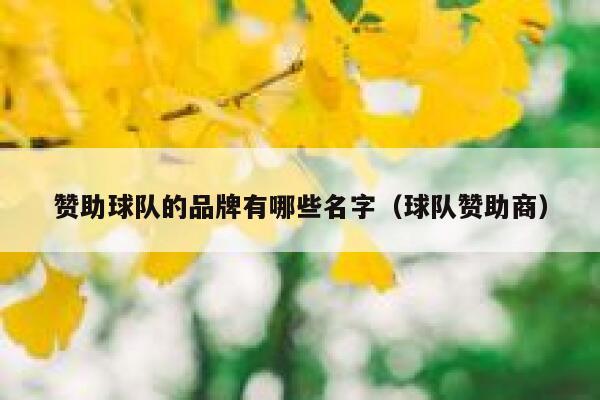 赞助球队的品牌有哪些名字（球队赞助商） 第1张