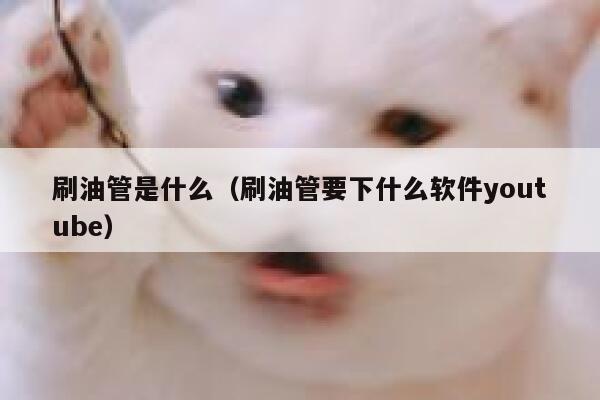 刷油管是什么（刷油管要下什么软件youtube） 第1张