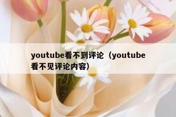 youtube看不到评论（youtube看不见评论内容） 第1张