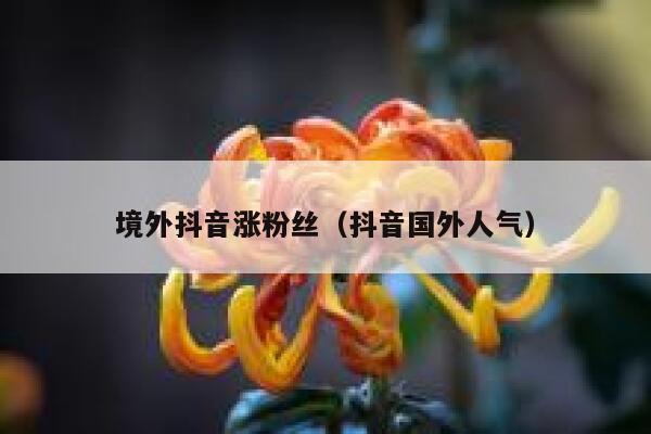 境外抖音涨粉丝（抖音国外人气） 第1张