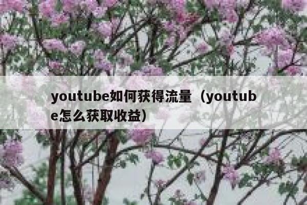 youtube如何获得流量（youtube怎么获取收益） 第1张