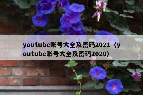 youtube账号大全及密码2021（youtube账号大全及密码2020） 第1张