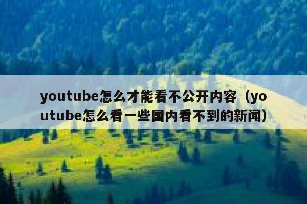 youtube怎么才能看不公开内容（youtube怎么看一些国内看不到的新闻） 第1张