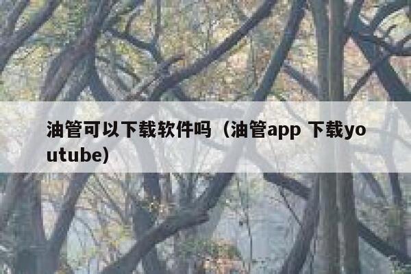 油管可以下载软件吗（油管app 下载youtube） 第1张