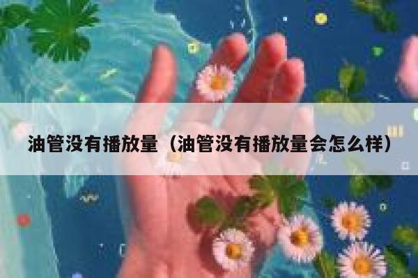 油管没有播放量（油管没有播放量会怎么样） 第1张