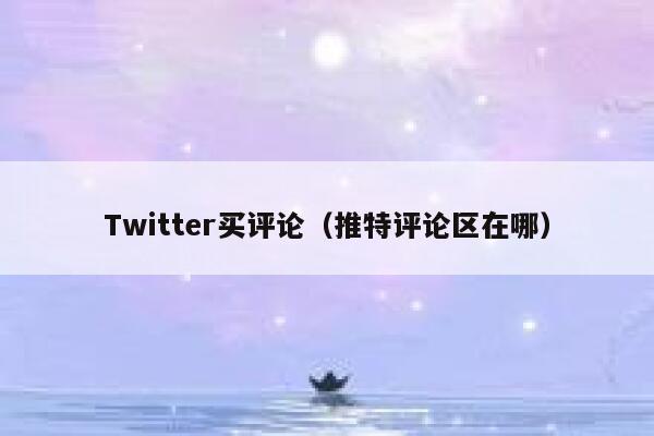 Twitter买评论（推特评论区在哪） 第1张