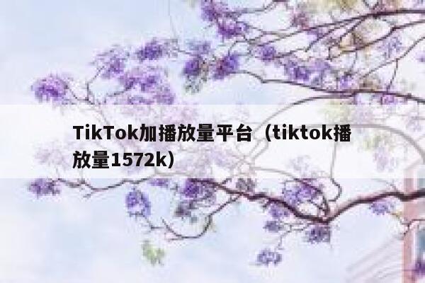 TikTok加播放量平台（tiktok播放量1572k） 第1张