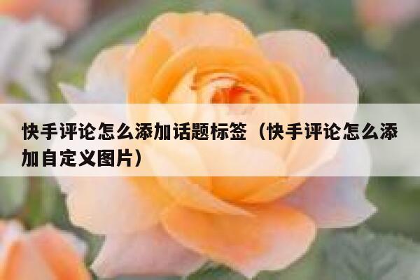 快手评论怎么添加话题标签（快手评论怎么添加自定义图片） 第1张