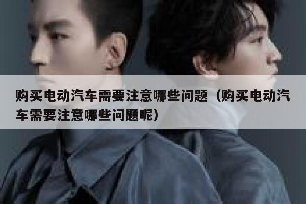购买电动汽车需要注意哪些问题（购买电动汽车需要注意哪些问题呢） 第1张