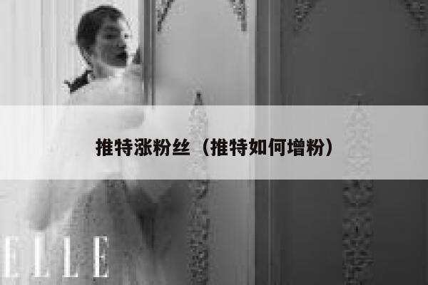 推特涨粉丝（推特如何增粉） 第1张