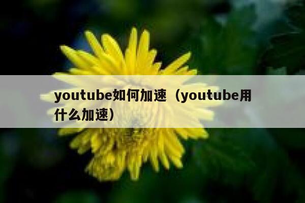 youtube如何加速（youtube用什么加速） 第1张