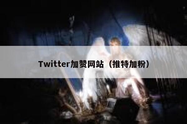 Twitter加赞网站（推特加粉） 第1张