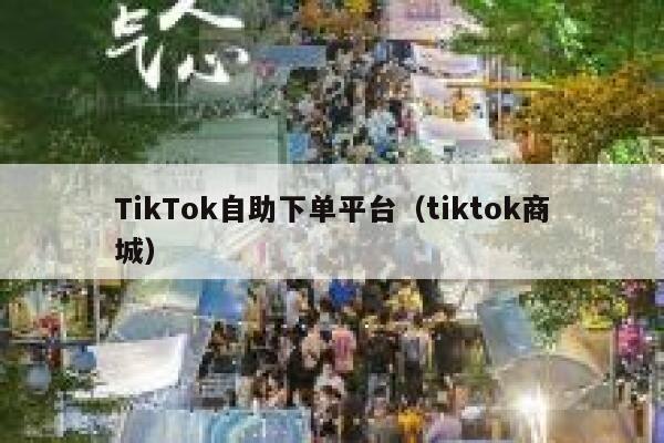TikTok自助下单平台（tiktok商城） 第1张