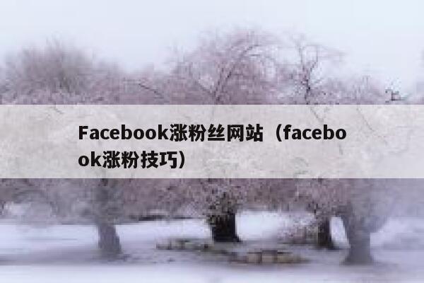 Facebook涨粉丝网站（facebook涨粉技巧） 第1张