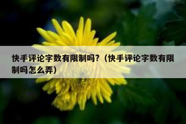 快手评论字数有限制吗?（快手评论字数有限制吗怎么弄） 第1张