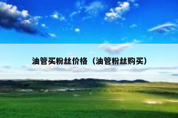 油管买粉丝价格（油管粉丝购买） 第1张