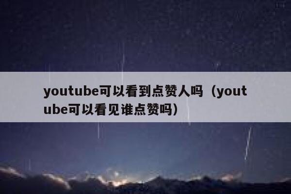youtube可以看到点赞人吗（youtube可以看见谁点赞吗） 第1张