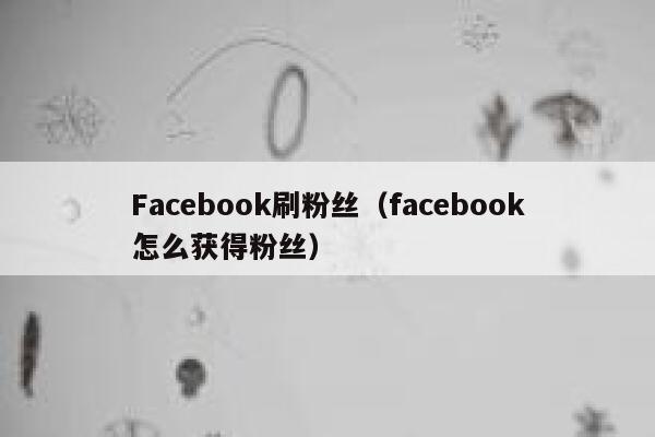 Facebook刷粉丝（facebook怎么获得粉丝） 第1张