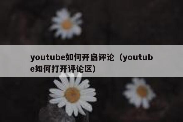 youtube如何开启评论（youtube如何打开评论区） 第1张