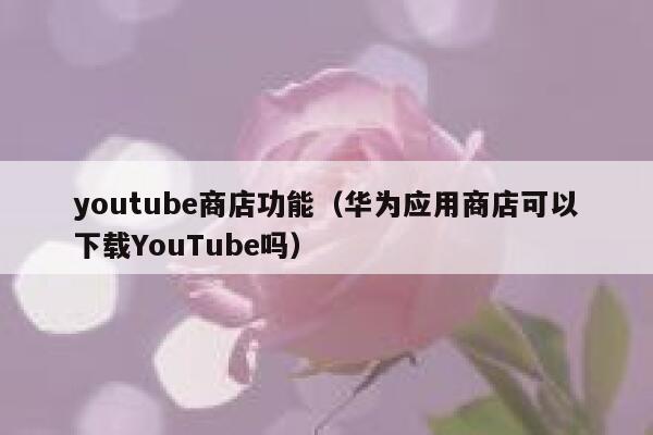 youtube商店功能（华为应用商店可以下载YouTube吗） 第1张