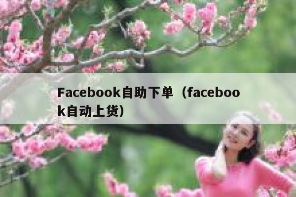 Facebook自助下单（facebook自动上货） 第1张