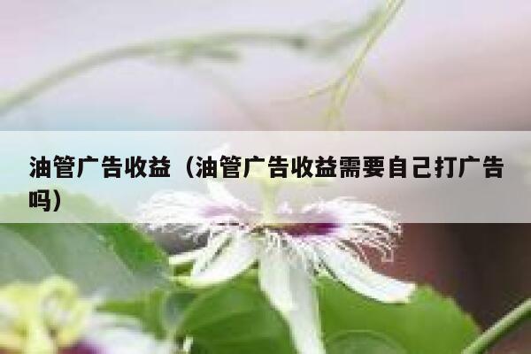 油管广告收益（油管广告收益需要自己打广告吗） 第1张