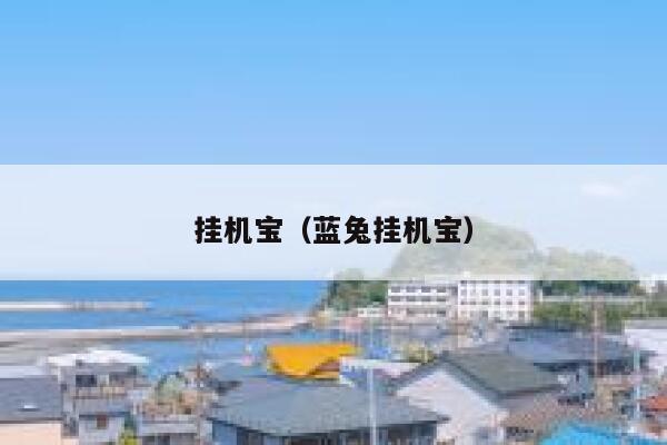 挂机宝（蓝兔挂机宝） 第1张