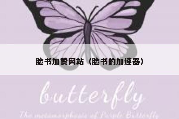 脸书加赞网站（脸书的加速器） 第1张