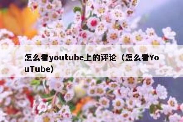 怎么看youtube上的评论（怎么看YouTube） 第1张