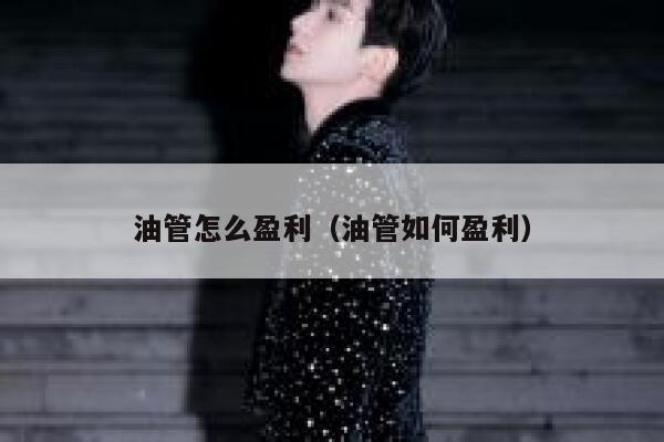 油管怎么盈利（油管如何盈利） 第1张