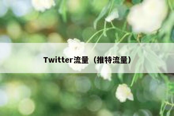 Twitter流量（推特流量） 第1张