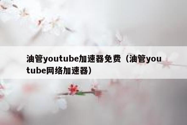 油管youtube加速器免费（油管youtube网络加速器） 第1张