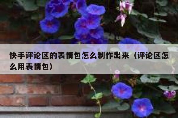 快手评论区的表情包怎么制作出来(评论区怎么用表情包) 第1张 快手评论区的表情包怎么制作出来(评论区怎么用表情包) 第1张