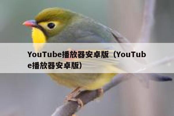 YouTube播放器安卓版（YouTube播放器安卓版） 第1张