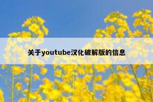关于youtube汉化破解版的信息 第1张 关于youtube汉化破解版的信息 第1张